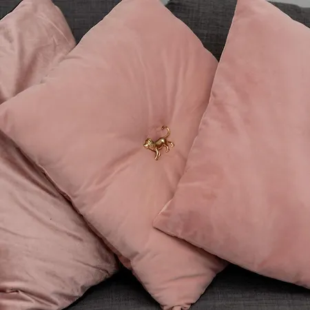 Spacious In For 8 People By Renters Apartment *